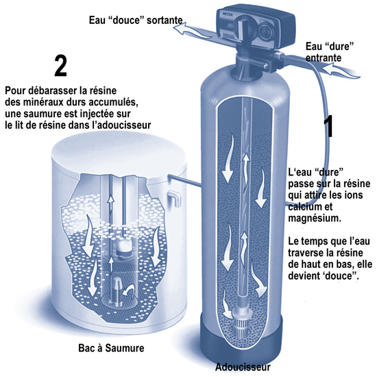 Adoucisseur d'eau VS purificateur : les différences à découvrir