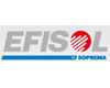 Logo Efisol